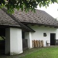 Szarvas 288